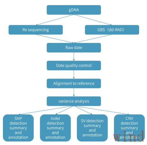 亚游综合版访问方式详细解析